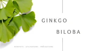 Le Ginkgo Biloba offre une variété de bienfaits pour le bien-être, allant de l'amélioration des fonctions cognitives à la santé cardiovasculaire, grâce à ses propriétés antioxydantes. Mais aussi, le Ginkgo Biloba apporte un bienfait immense pour la peau, tout en protégeant et améliorant la vision. De plus, le Ginkgo Biloba est reconnu pour réduire le stress et l'anxiété.